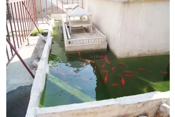 裝配式建筑是現(xiàn)代中國(guó)落實(shí)“大國(guó)智造”的重要變革！